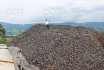 Projeto de Exportação Marítima