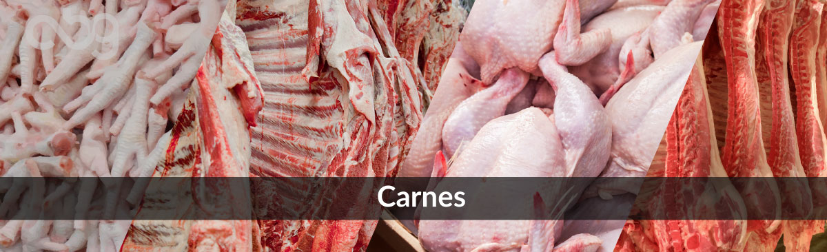 Carnes